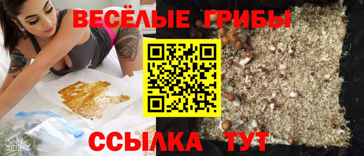 Галлюциногенные грибы Cubensis  Псилоцибиновые грибы ЛСД  Вход с VPN  Елец 